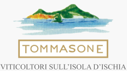 Logo Tommasone